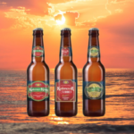 HOW IS BEER PRODUCED IN A BEER MANUFACTURING PLANT IN INDIA?